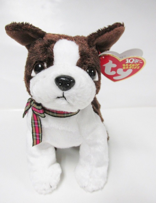 "Sport" - Brwn/Wht Dog-Boston Terrier <br>Ty Beanie Baby<br>(Click on picture-FULL DETAILS)